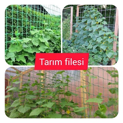 TARIM FİLESİ